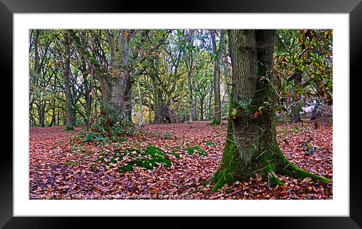 Tree Den Framed Mounted Print by GJS Photography Artist