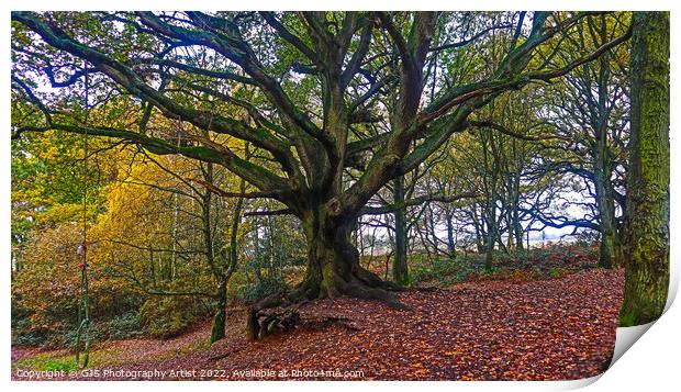 Old Oak Kids Play Print by GJS Photography Artist