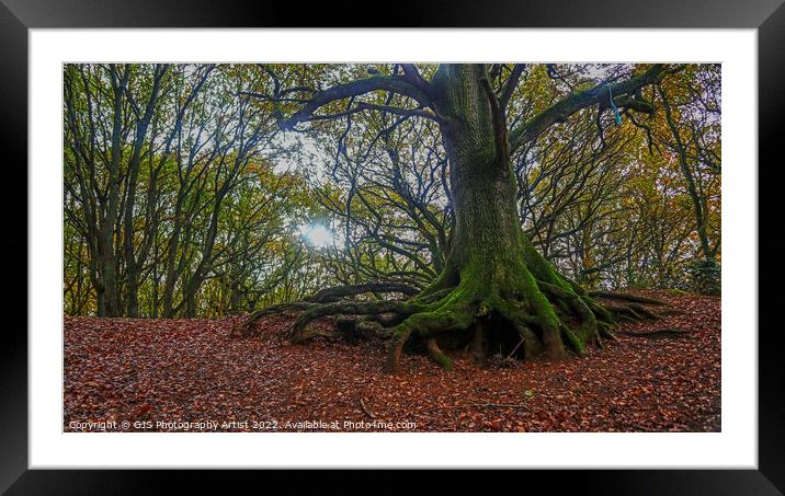 Spider Leg Roots Framed Mounted Print by GJS Photography Artist
