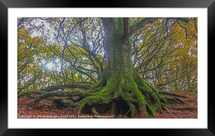 Roots Exposed  Framed Mounted Print by GJS Photography Artist