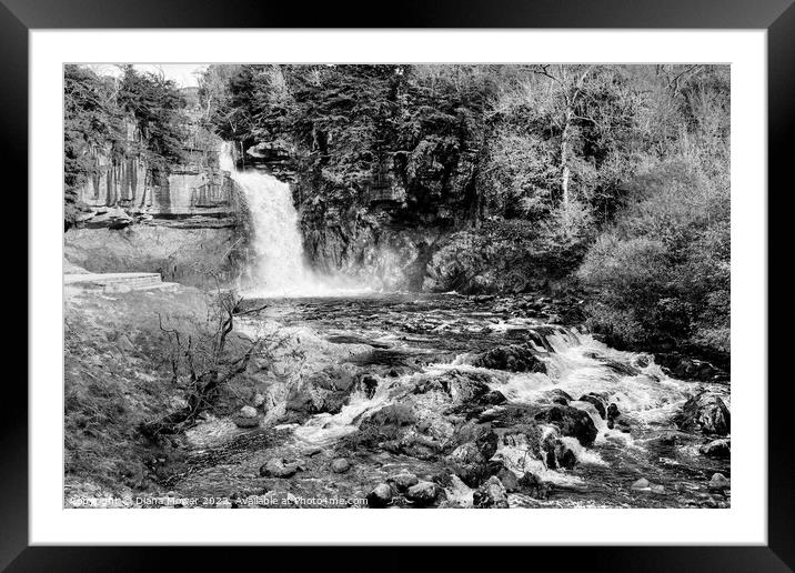 Thornton Force monochrome Framed Mounted Print by Diana Mower