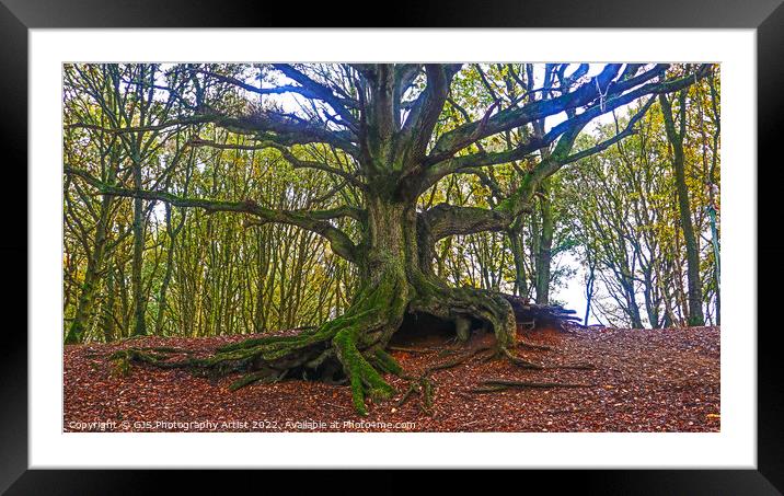 The Old Oak of Bawdeswell Heath Framed Mounted Print by GJS Photography Artist