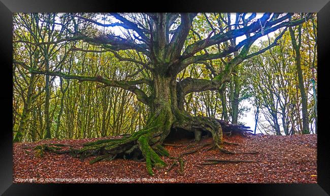 The Old Oak of Bawdeswell Heath Framed Print by GJS Photography Artist