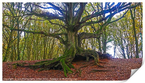 The Old Oak of Bawdeswell Heath Print by GJS Photography Artist