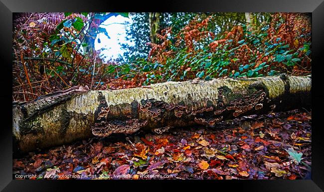 Autumn Fallen Framed Print by GJS Photography Artist