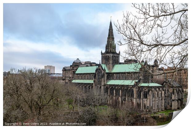 Glasgow Cathedral from the necropolis, Glasgow, Scotland Print by Dave Collins