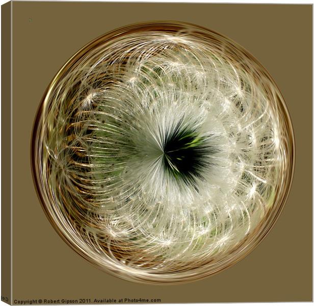 Spherical Paperweight dandylion Canvas Print by Robert Gipson