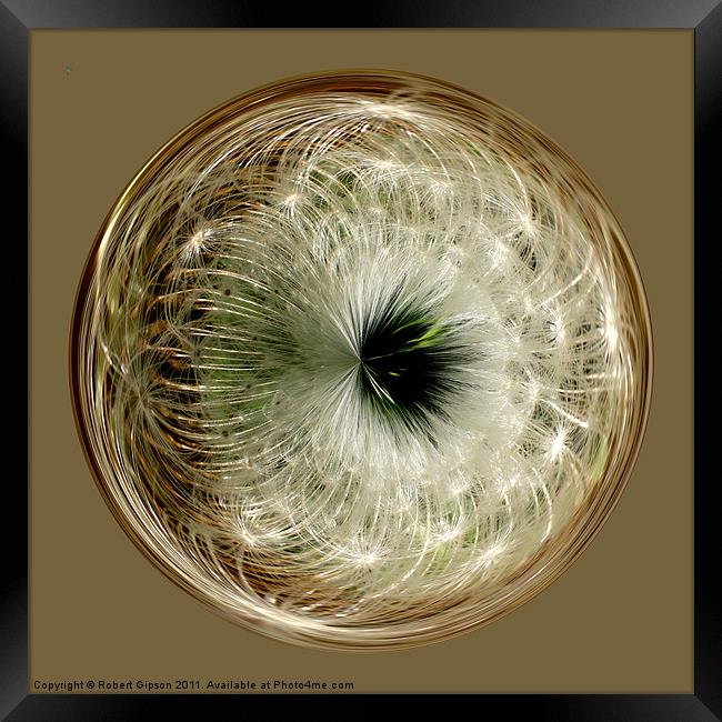 Spherical Paperweight dandylion Framed Print by Robert Gipson
