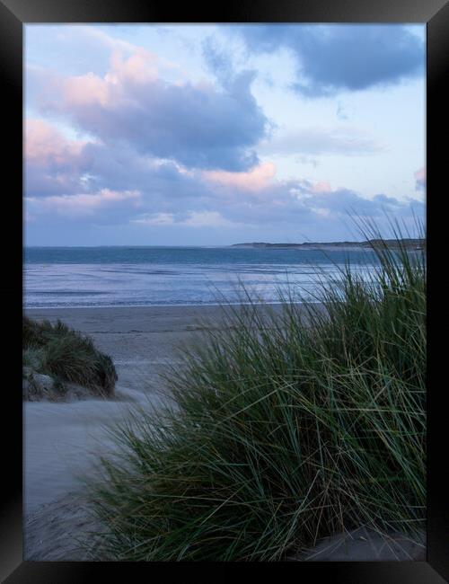 Instow sand dunes at sunrise Framed Print by Tony Twyman