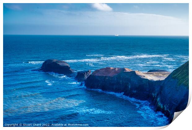 Cleveland coastline near Whitby Print by Travel and Pixels 