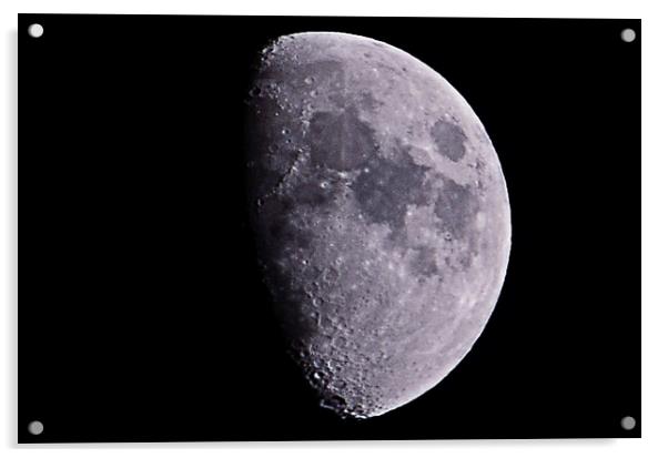 Gibbous moon Acrylic by Allan Durward Photography