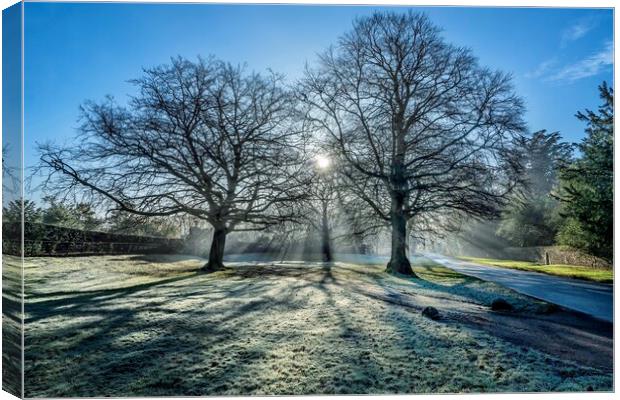 A bright Winters morning on the Sandringham estate Canvas Print by Gary Pearson