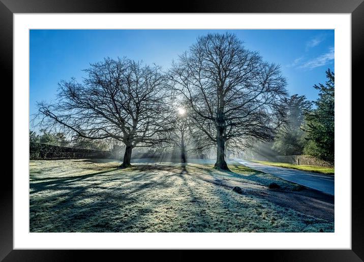 A bright Winters morning on the Sandringham estate Framed Mounted Print by Gary Pearson