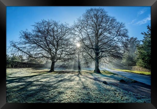 A bright Winters morning on the Sandringham estate Framed Print by Gary Pearson