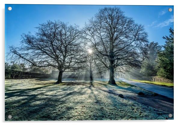A bright Winters morning on the Sandringham estate Acrylic by Gary Pearson