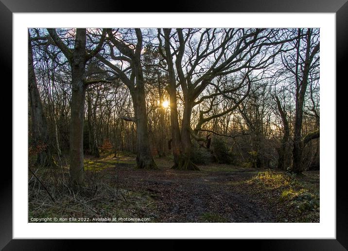 Autumnal Sunsets Framed Mounted Print by Ron Ella