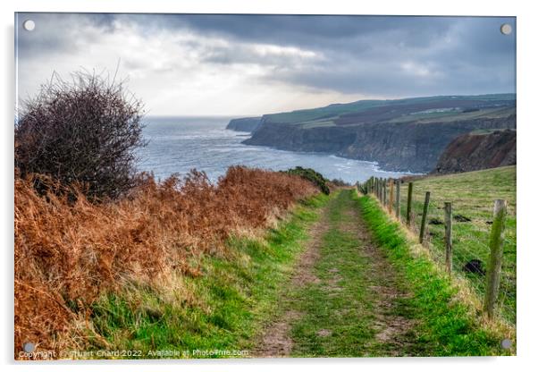 Cleveland Way North Yorkshire Coastline Acrylic by Travel and Pixels 