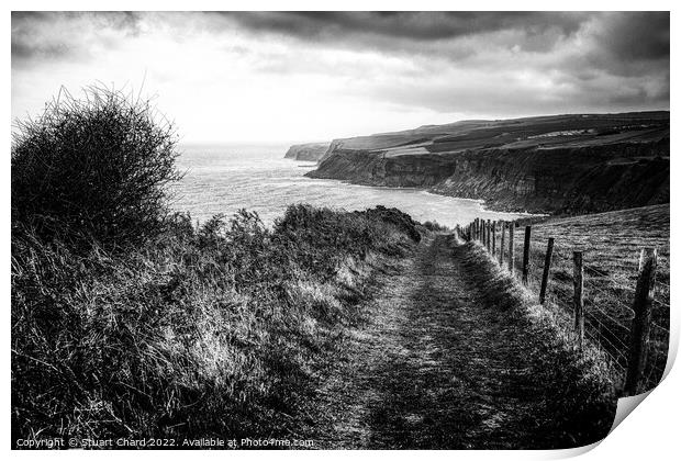 Cleveland Way North Yorkshire Coastline Print by Travel and Pixels 