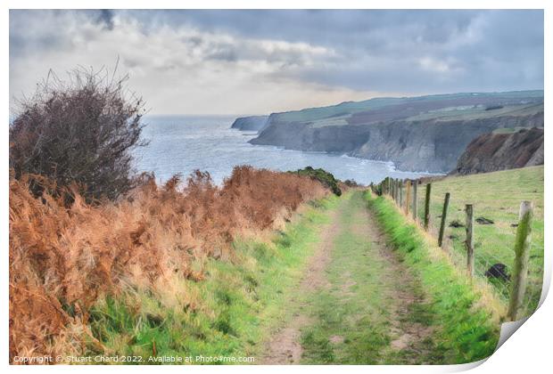 Cleveland Way North Yorkshire Coastline Art Print Print by Travel and Pixels 