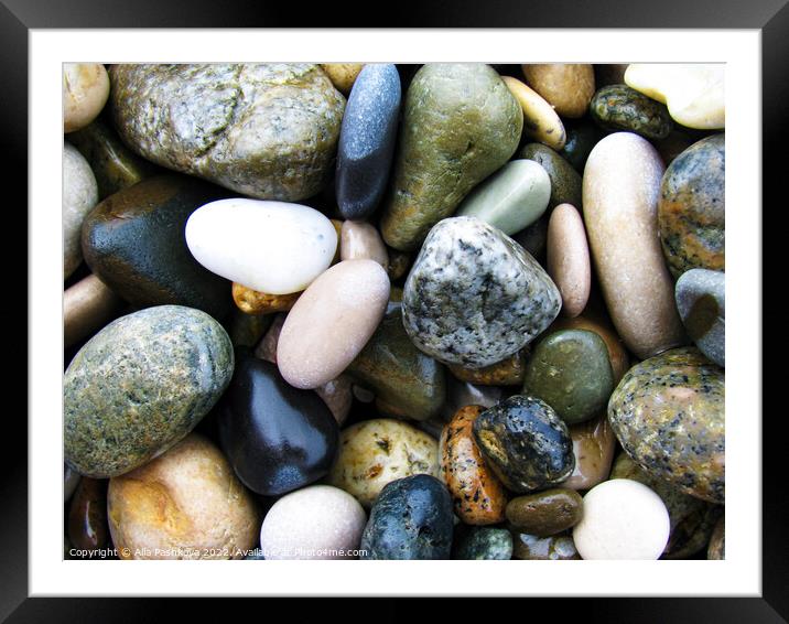 Colorful pebbles Framed Mounted Print by Alla Pashkova