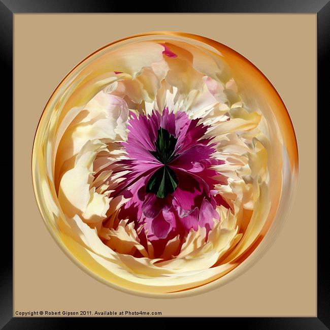 Spherical paperweight Peon Framed Print by Robert Gipson