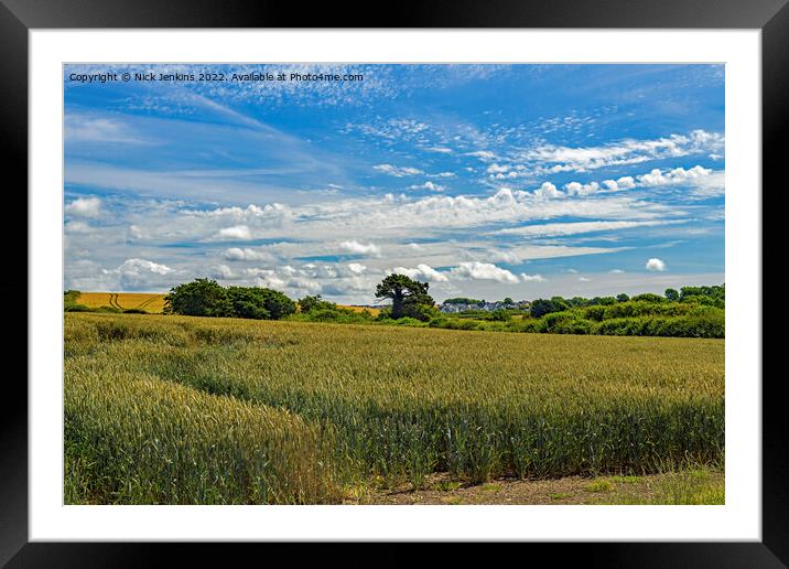 Wheatcrop in the Vale of Glamorgan July Framed Mounted Print by Nick Jenkins