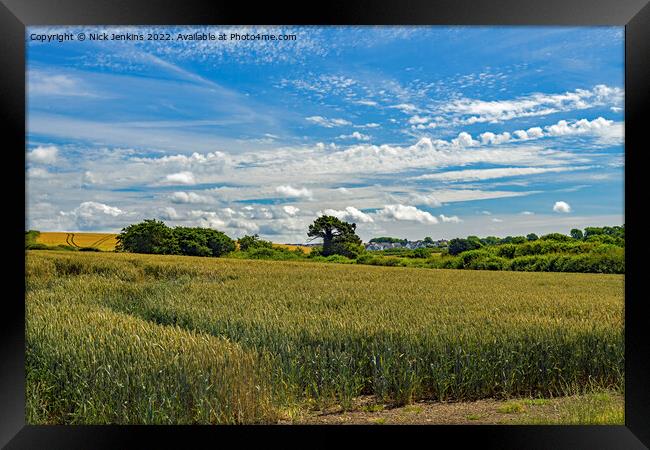 Wheatcrop in the Vale of Glamorgan July Framed Print by Nick Jenkins
