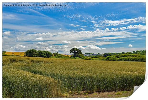 Wheatcrop in the Vale of Glamorgan July Print by Nick Jenkins