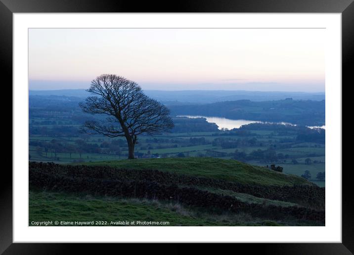 Lone tree in the Roaches  Framed Mounted Print by Elaine Hayward
