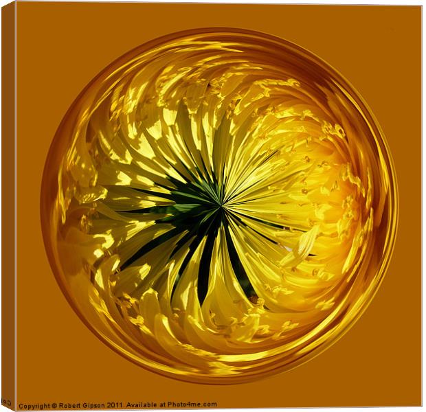 Spherical Paperweight dandylion flower Canvas Print by Robert Gipson