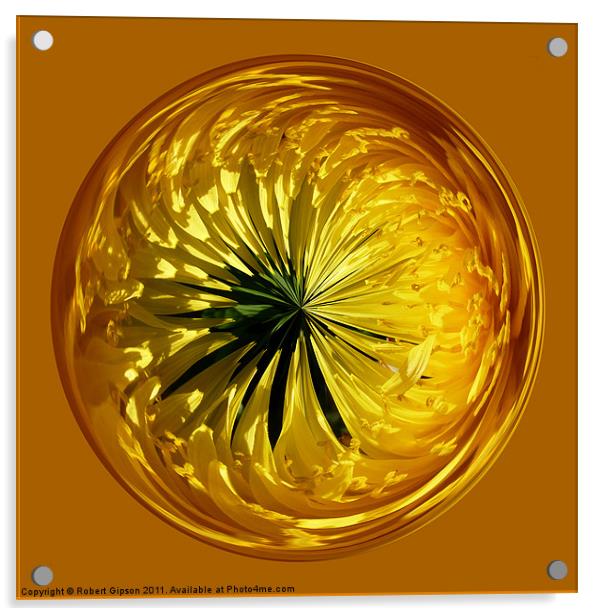 Spherical Paperweight dandylion flower Acrylic by Robert Gipson