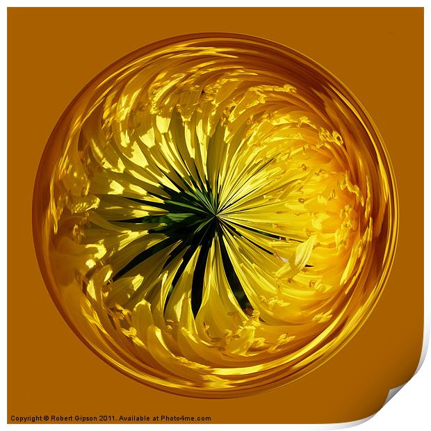 Spherical Paperweight dandylion flower Print by Robert Gipson