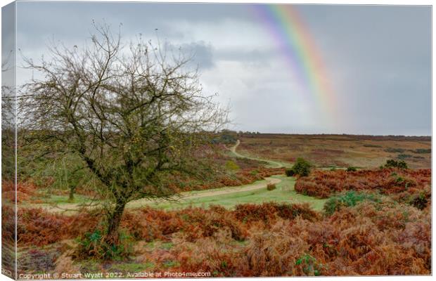 New Forest: Ashley Walk Canvas Print by Stuart Wyatt