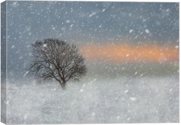 Winter snow scene  Canvas Print by Susan Leonard