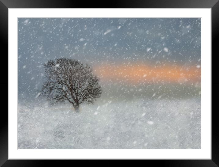 Winter snow scene  Framed Mounted Print by Susan Leonard