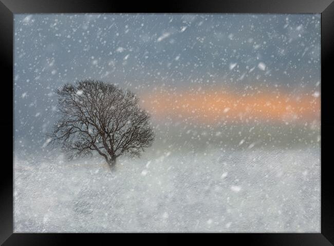 Winter snow scene  Framed Print by Susan Leonard
