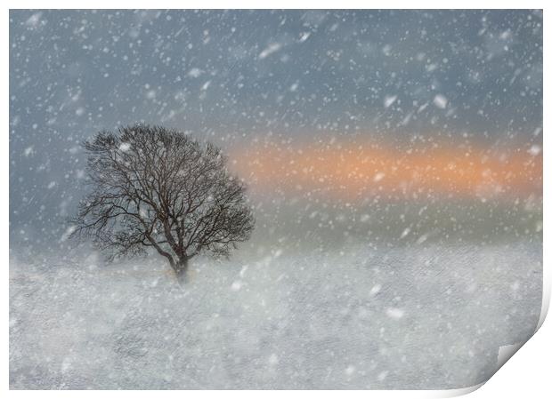 Winter snow scene  Print by Susan Leonard