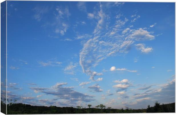 Clouds on a sunny day 3 Canvas Print by Philip Lehman