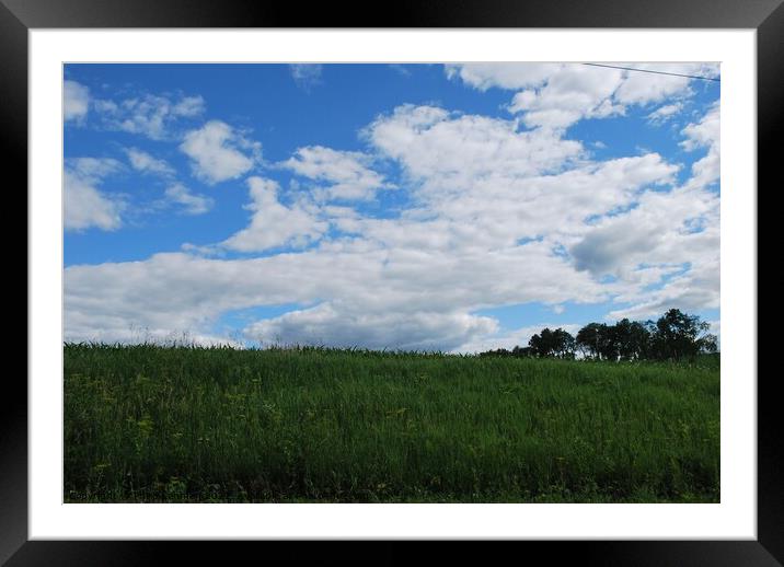 Clouds on a sunny day 4 Framed Mounted Print by Philip Lehman