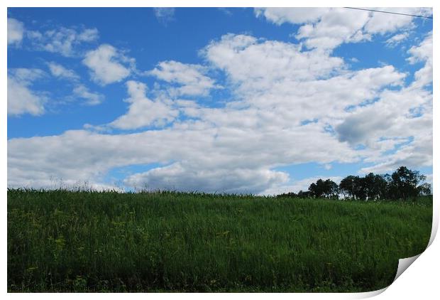 Clouds on a sunny day 4 Print by Philip Lehman