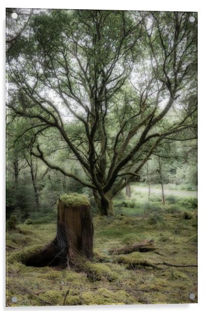 Enchanted Forest Guardian Acrylic by Stuart Jack
