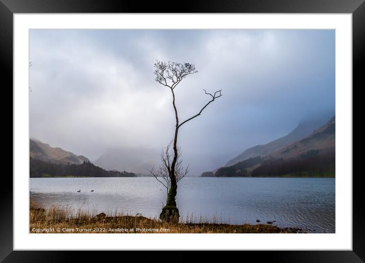Lone tree at Buttermere Framed Mounted Print by Claire Turner