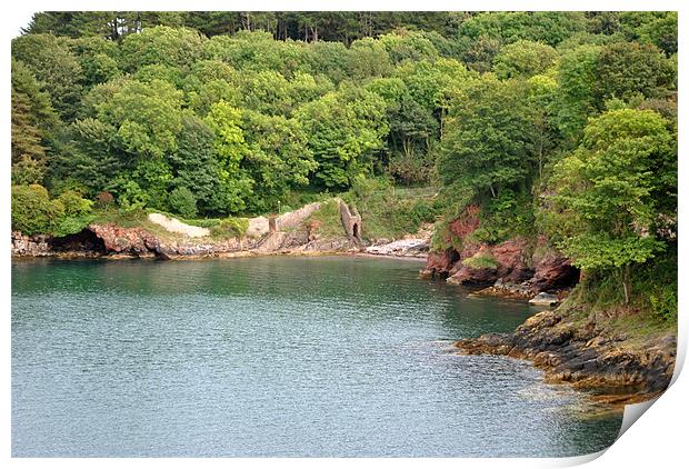 Fishcombe Cove Print by graham young