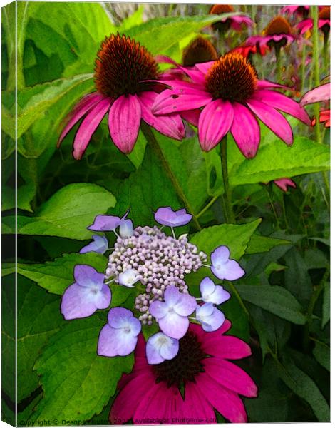 Magenta Coneflowers and Hydrangea Canvas Print by Deanne Flouton