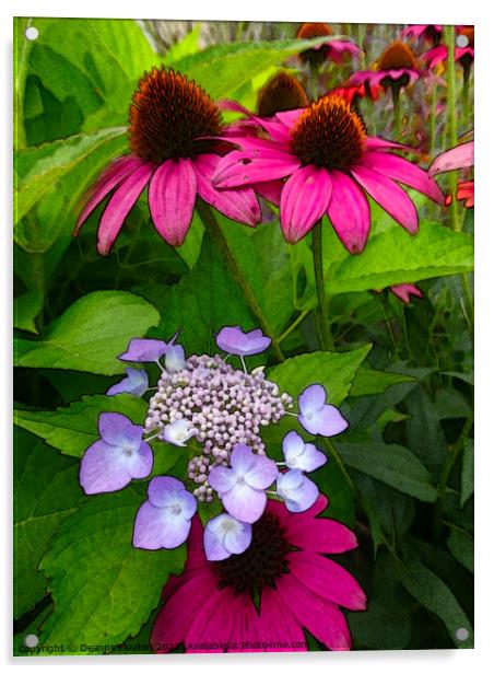 Magenta Coneflowers and Hydrangea Acrylic by Deanne Flouton