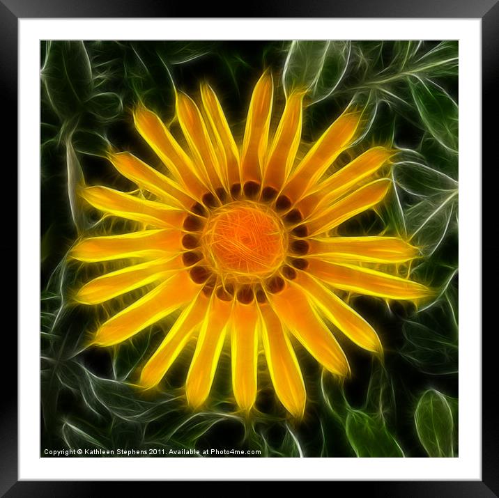 Sunny and Bright Framed Mounted Print by Kathleen Stephens