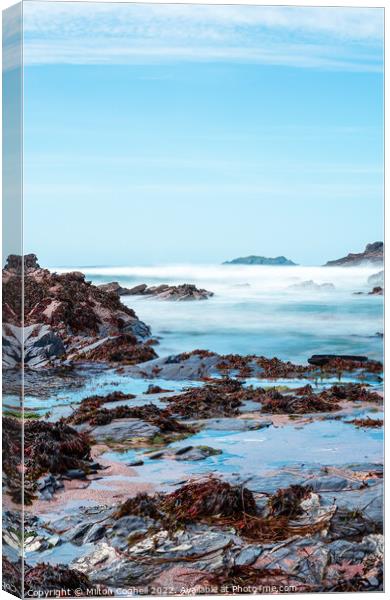 Long exposure of rock pools in Newtrain Bay (Rocky Beach) Cornwall Canvas Print by Milton Cogheil