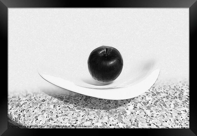 Gray shades apple Framed Print by Marinela Feier