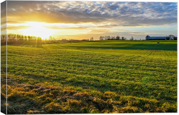 scenic wiew over green agriculture field and sunset Canvas Print by Jonas Rönnbro
