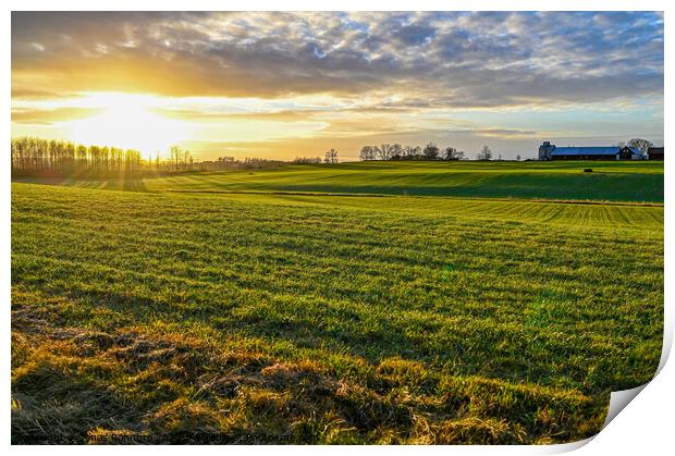 scenic wiew over green agriculture field and sunset Print by Jonas Rönnbro
